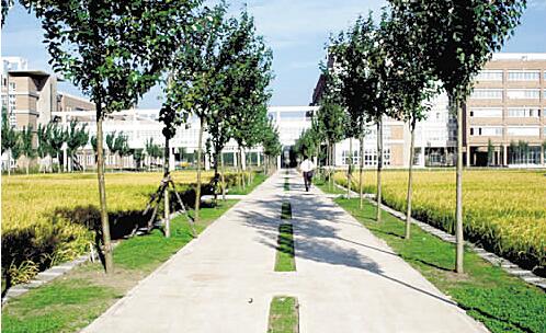 南充廣播電視大學(xué)南部縣分?！鸽姶蟆?></a></div>
          <dl>
              <dt><a href=