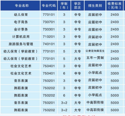 衡陽幼兒師范高等?？茖W校專業(yè)