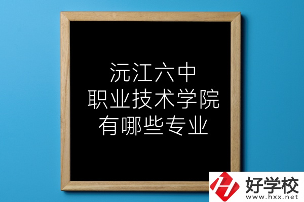 湖南沅江六中職業(yè)技術(shù)學院有哪些專業(yè)？
