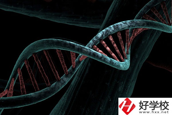 溆浦縣職業(yè)中等專業(yè)學(xué)校宿舍怎么樣？