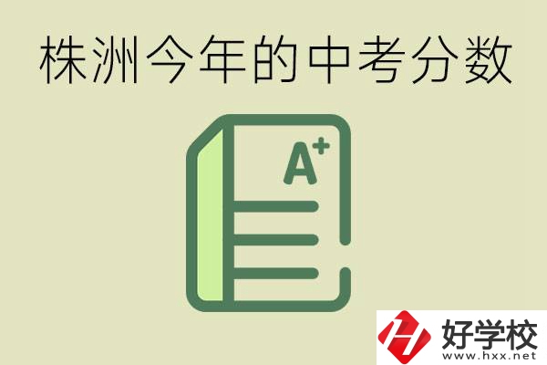 株洲今年中考多少分能上高中？沒考上有什么選擇？