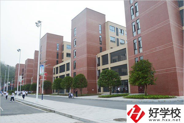 益陽有哪些職高比較有辦學(xué)特色？職高入學(xué)要求高不高？