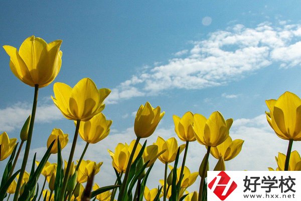 岳陽有開設(shè)工業(yè)機(jī)器人技術(shù)應(yīng)用專業(yè)的中職學(xué)校嗎？