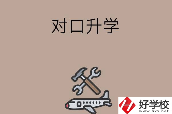 職高學生參加湖南省對口升學，有什么本科可以報考？