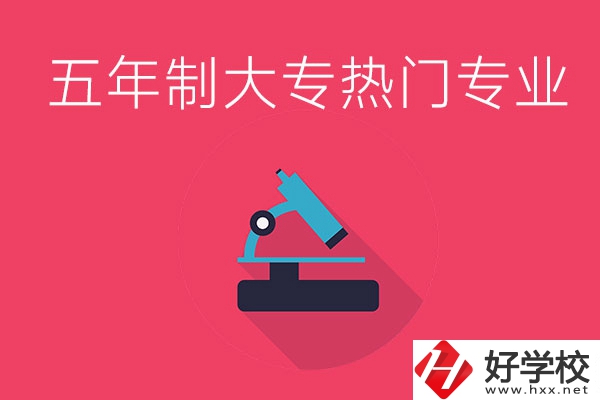 湖南五年制大專最熱門的專業(yè)有哪些？