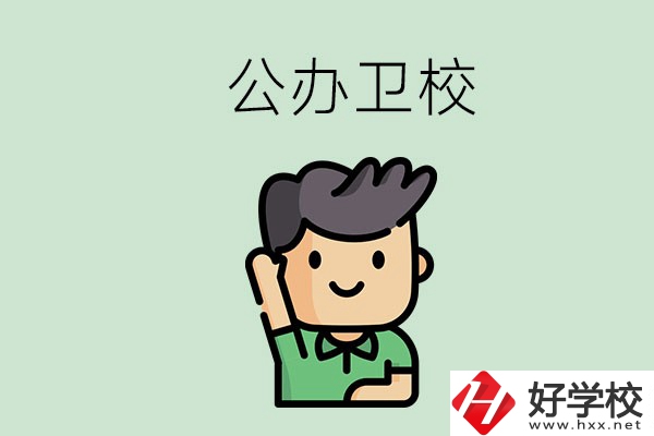 湖南的公辦衛(wèi)校有哪些？這兩所學(xué)校值得推薦！