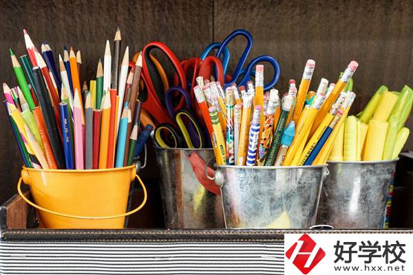 在懷化有什么職校可以學習幼師？好不好？