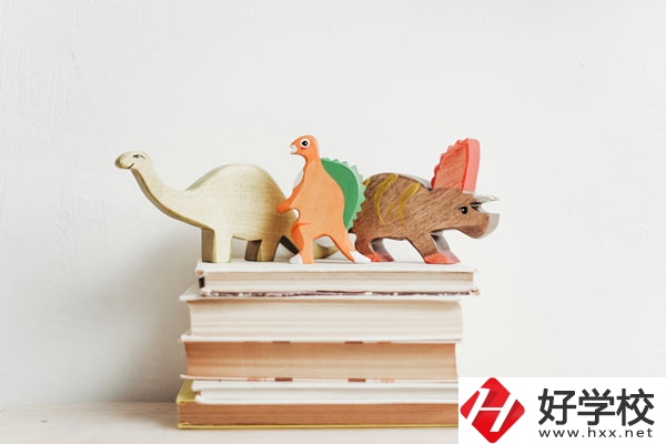 懷化啟航衛(wèi)生學(xué)校辦學(xué)地址在哪兒？