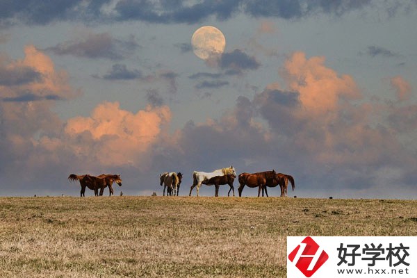 邵陽工業(yè)學(xué)校是公辦還是民辦？有什么優(yōu)勢(shì)？