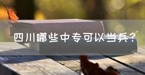 四川哪些中?？梢援?dāng)兵？(圖1)