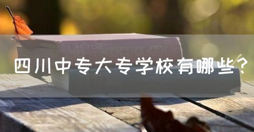 四川中專大專學校有哪些？(圖1)