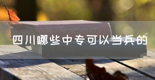 四川哪些中?？梢援?dāng)兵的(圖1)