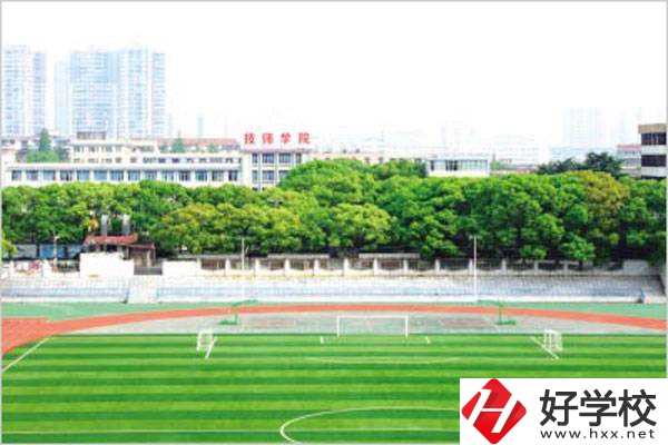 岳陽有什么公辦技校？