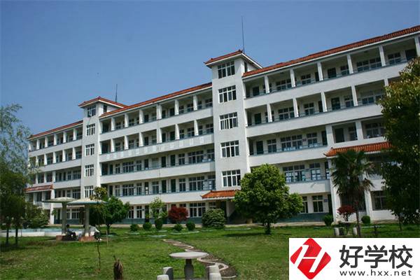 湖南想做程序員讀什么中職好？就業(yè)升學(xué)怎么樣？