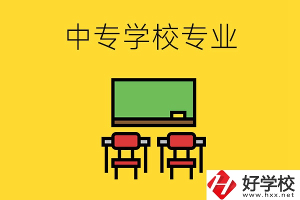 湖南的中專學(xué)校有哪些專業(yè)好就業(yè)？