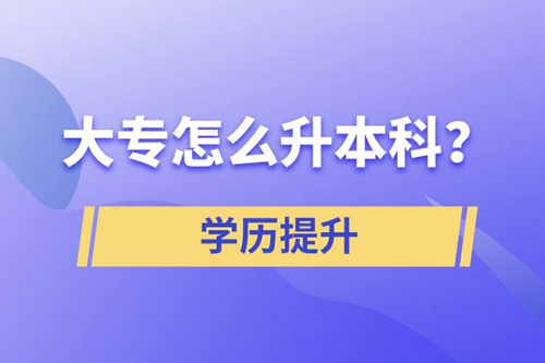 大專怎么升本科？