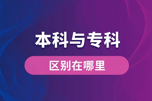 本科與?？频膮^(qū)別在哪里