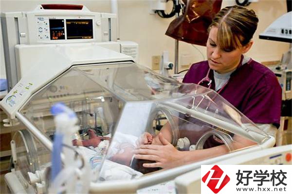 湖南中職學(xué)校開設(shè)最多的專業(yè)有哪些？就業(yè)前景怎么樣？