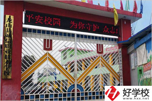 湘西龍山縣誠信職業(yè)技術(shù)學(xué)校怎么樣？有什么特色