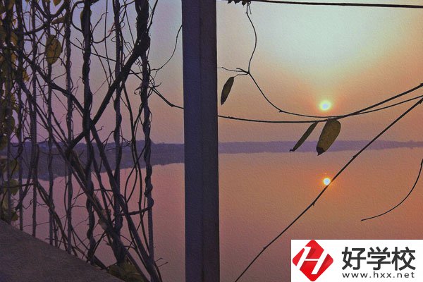 張家界的中職學(xué)校學(xué)什么專業(yè)好？哪些專業(yè)前景佳？