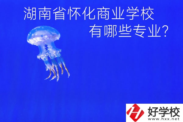湖南省懷化商業(yè)學校好不好？有哪些專業(yè)？