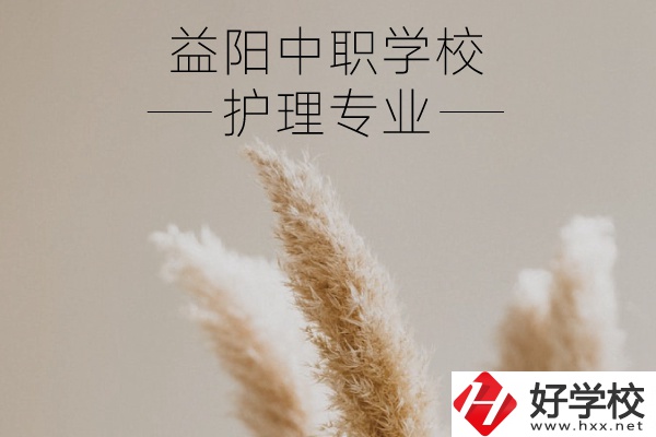 益陽護理專業(yè)的中職學(xué)校有哪些？需要哪些要求？