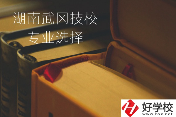 湖南武岡技校怎么樣？有哪些專業(yè)可以選擇？