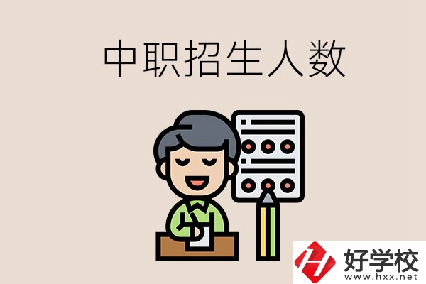 湖南中職學校每年的招生人數(shù)是多少？