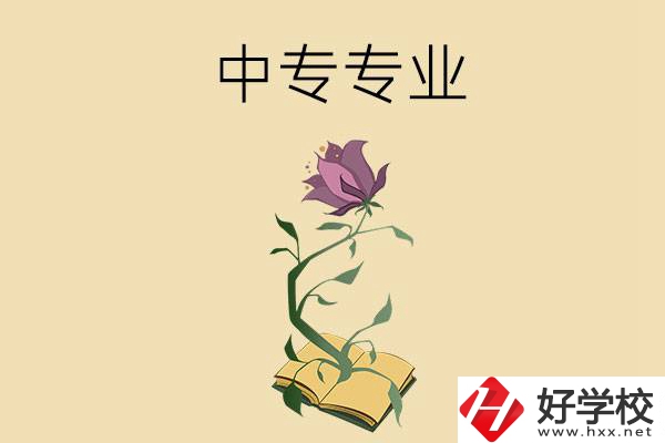 在張家界讀中專(zhuān)，學(xué)什么專(zhuān)業(yè)比較好？