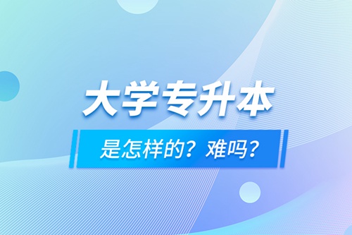 大學(xué)專(zhuān)升本是怎樣的？難嗎？