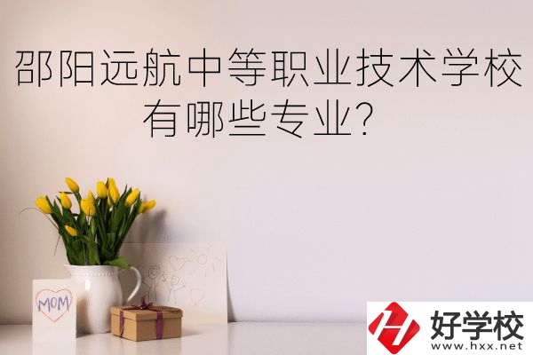 邵陽遠航中等職業(yè)技術學校有哪些專業(yè)？