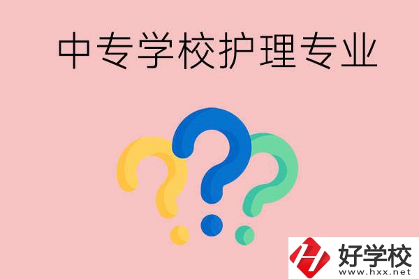 湖南的公辦中專學(xué)校哪些可以學(xué)護理專業(yè)？