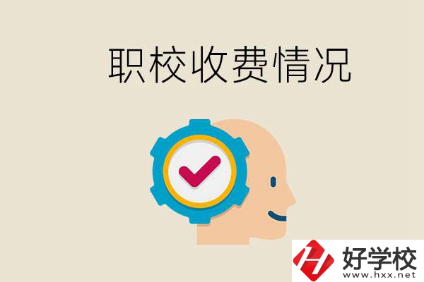 湖南的職校是怎么收費的？民辦學校一年學費要多少？