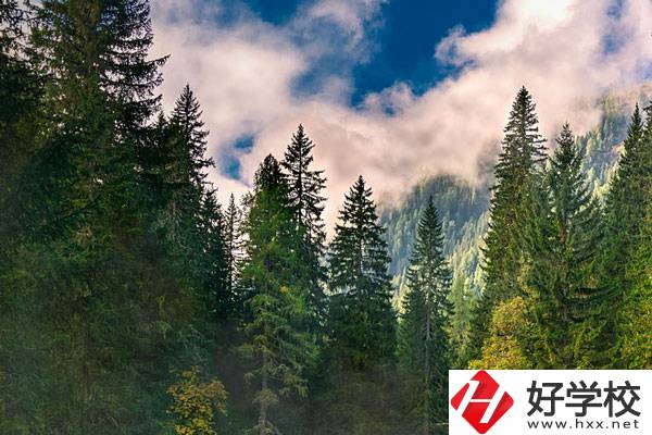 永州東方科技職業(yè)學校有哪些辦學特色？