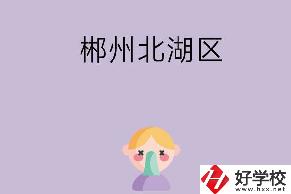 郴州北湖區(qū)有哪些學校？