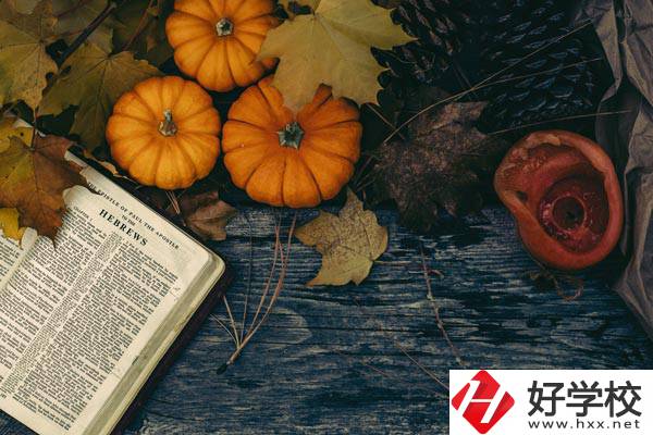 臨湘市職業(yè)中專開設哪些熱門專業(yè)？有哪些就業(yè)方向？