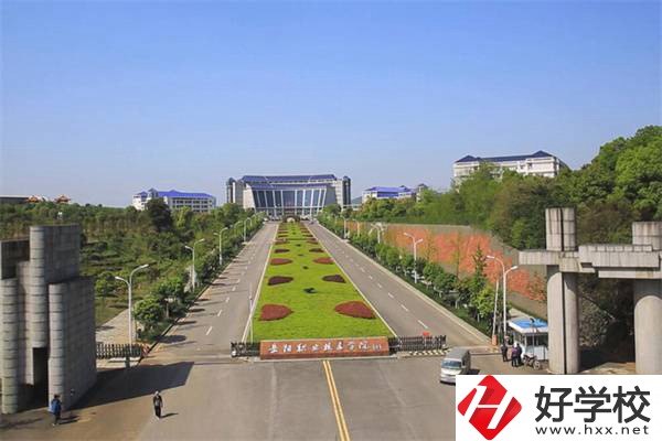 湖南有五年制衛(wèi)校嗎？衛(wèi)校都開設(shè)有哪些醫(yī)衛(wèi)專業(yè)？
