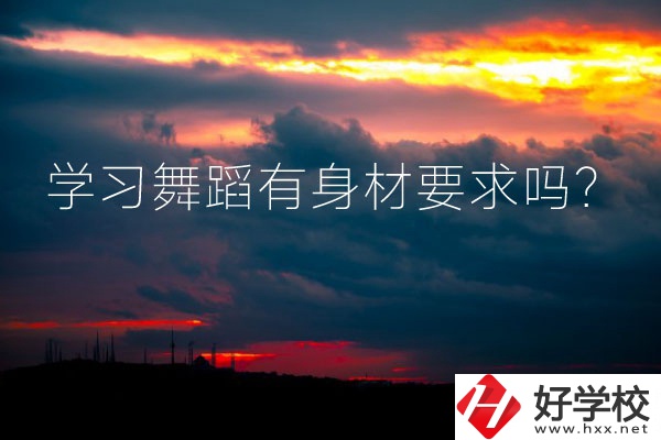 懷化有可以學(xué)習(xí)舞蹈的中專學(xué)校嗎？有身材要求嗎？
