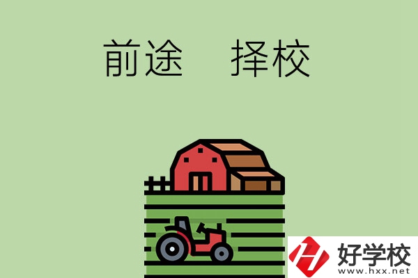 在長(zhǎng)沙讀中職學(xué)校有前途嗎，如何擇校？