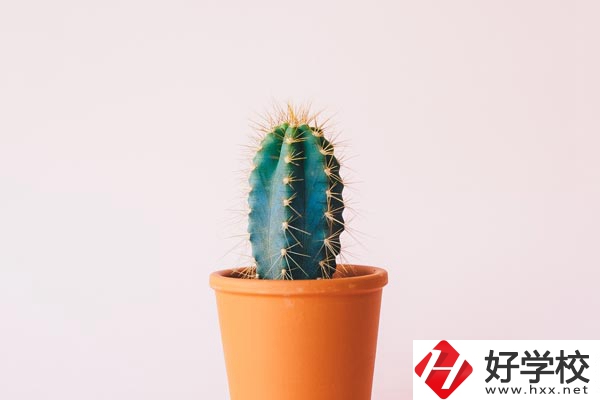 長沙有哪些中職學(xué)校可以學(xué)習(xí)幼師專業(yè)？