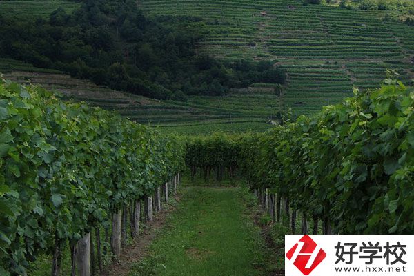 中鋼集團衡陽重機技工學(xué)校好不好？值得讀嗎？