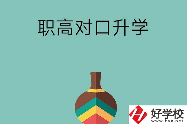 湖南職高對口升學(xué)可以考哪些大專？
