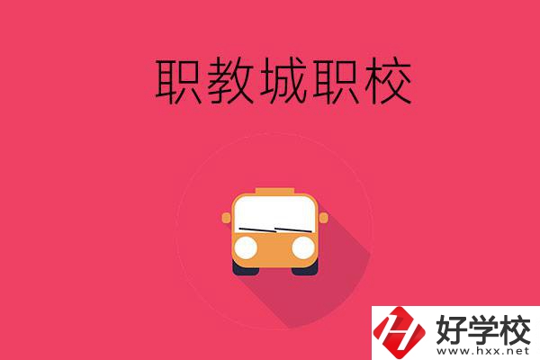 株洲職教城有什么職校？