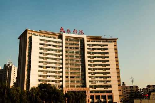 武漢船舶職業(yè)技術(shù)學院