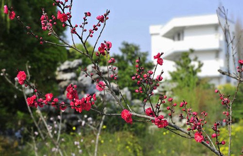 邳州車(chē)輻職業(yè)中學(xué)