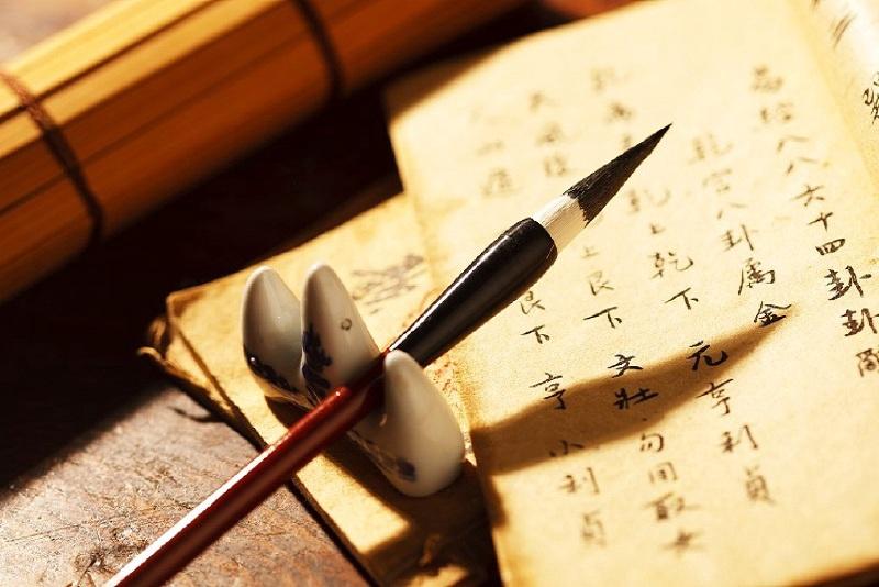 漢語(yǔ)言文學(xué)專業(yè)學(xué)什么？