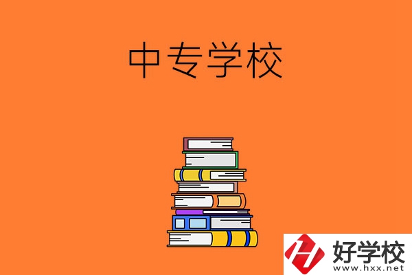 懷化市有哪些公立的中專學校？