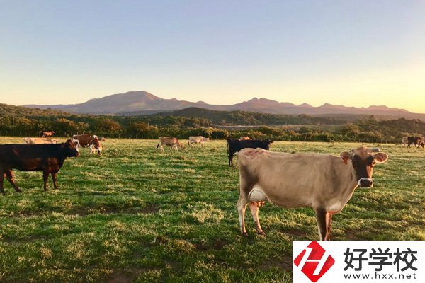 瀘溪縣第一職業(yè)中學(xué)的園林技術(shù)專業(yè)怎么樣？