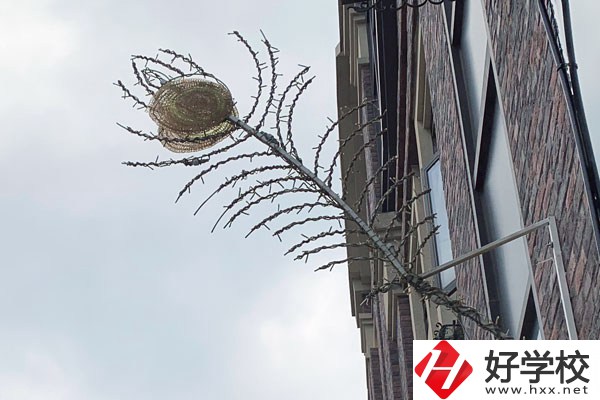 湖南省邵陽交通學(xué)校怎么樣？有哪些熱門專業(yè)？