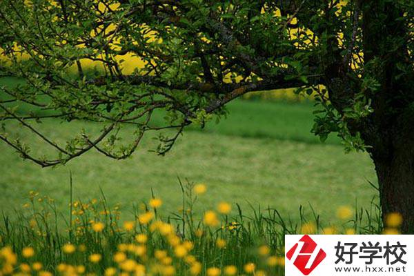在邵陽讀中職有前途嗎？如何選擇學(xué)校呢？